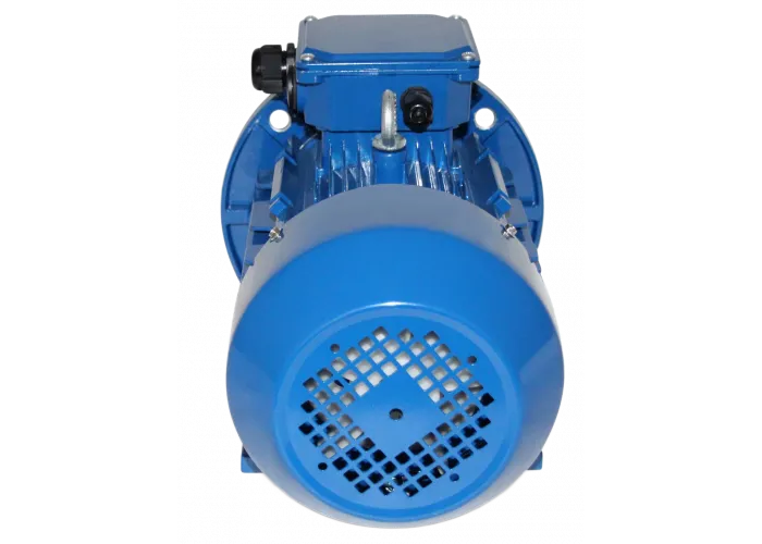 Эл. двигатель АИР 100L2Ж 5,5 кВт 2900 об/мин IM2081(B35) - изображение 2